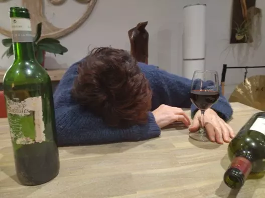 Formation EFR Instructeur: Sensibilisation à la Maladie Alcoolique